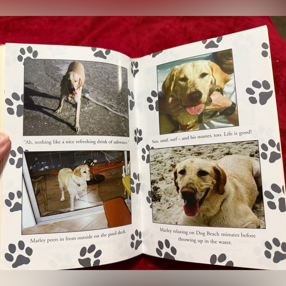 HARDBACK MARLEY AND ME BOOK NO CREASES FLAWS OR WRITING PERFECT WITH PICTURES! 🐕 - Picture 12 of 13